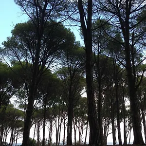 Cavalli Di S'arcaite Alloggio per agriturismo